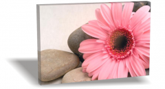 Pembe Çiçek Canvas Tablo