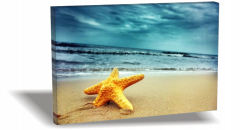 Deniz Yıldızı Canvas Tablo