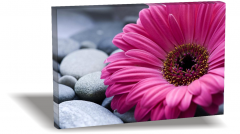 Çiçek 2  Canvas Tablo
