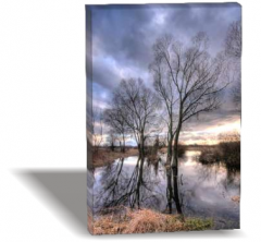 Göl Canvas Tablo