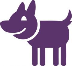 Sevimli Köpek