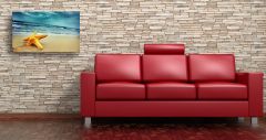 Deniz Yıldızı Canvas Tablo