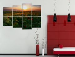 Gelincik Tarlası Forex Tablo 8 Parça 100x70cm