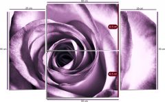 Rose Forex Tablo 4 Parça 100x65cm